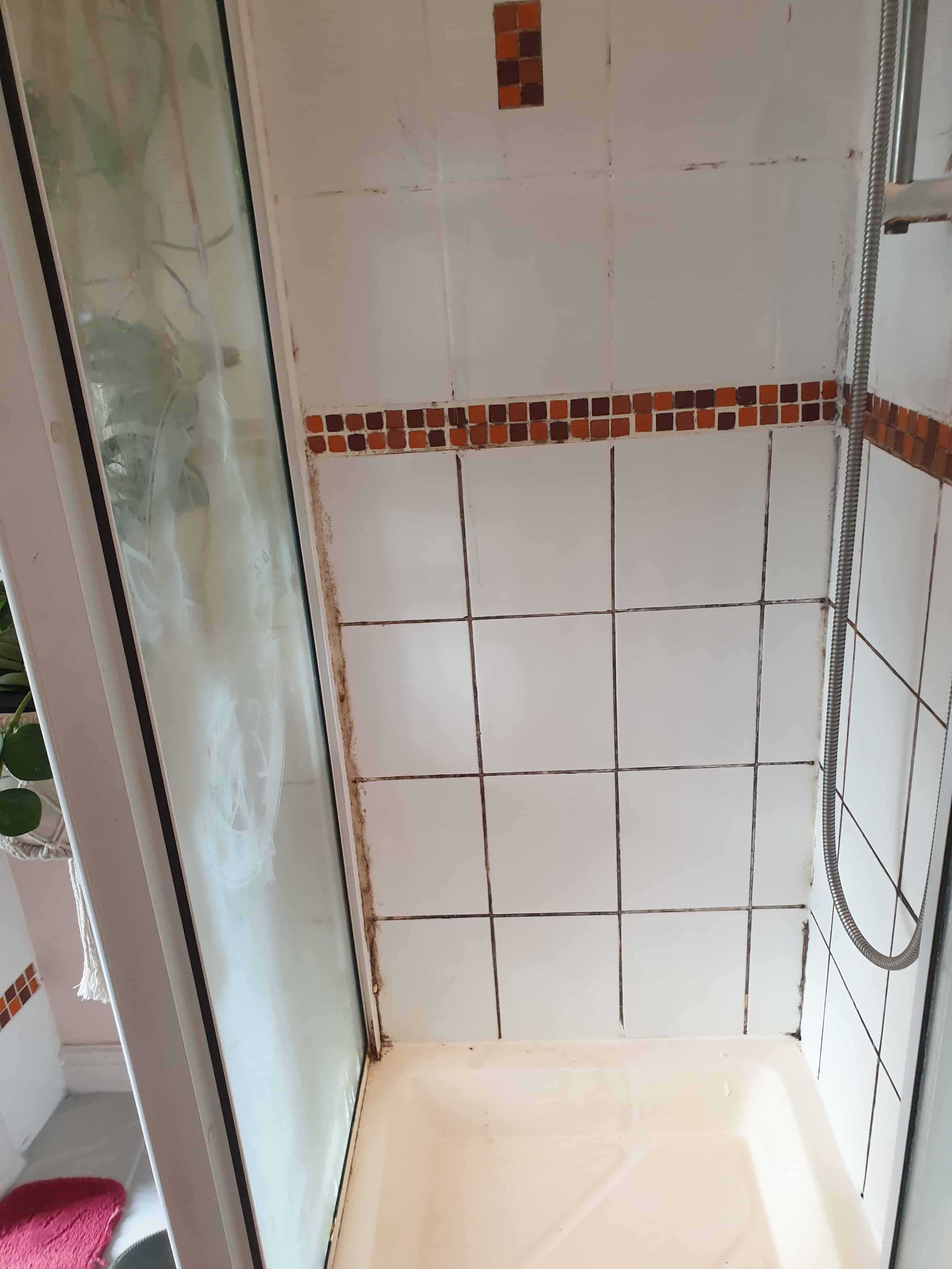 Ceramic Shower Cubicle Tile Grout Before Cleaning Lower Whitley
